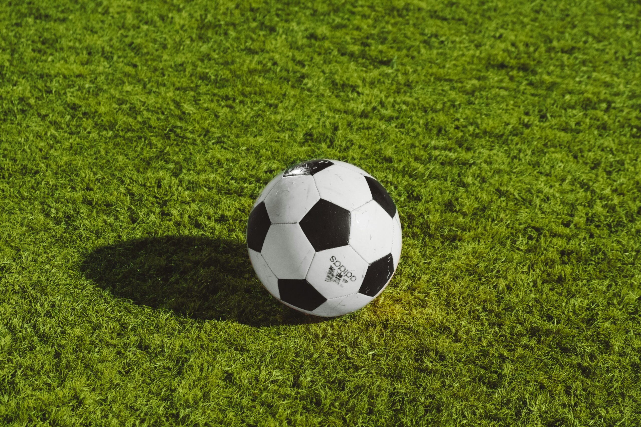 Warum Österreich bei der WM 2026 alle überraschen könnte Warum Österreich bei der WM 2026 alle überraschen könnte